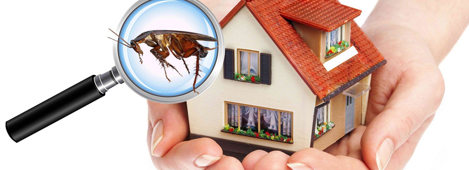 pest control services in hyderabad